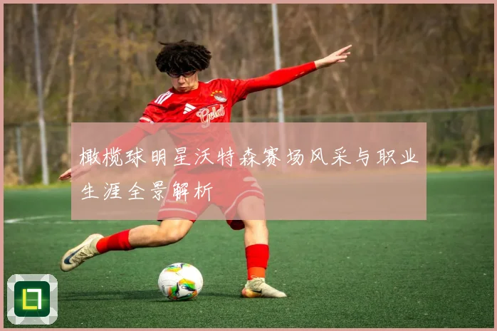 橄榄球明星沃特森赛场风采与职业生涯全景解析